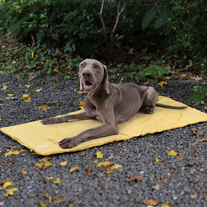 เสื่อสัตว์เลี้ยงแบบพกพาพับได้อ - Outdoor Rug Waterproof บทวิจารณ์และราคา